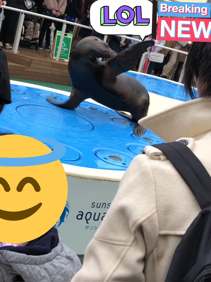 Takahiro Vがち勢 友達や知り合いの人達と池袋サンシャイン水族館 マジックバー 夜飯 友達を見送りして 俺はネカフェで一泊 Zz