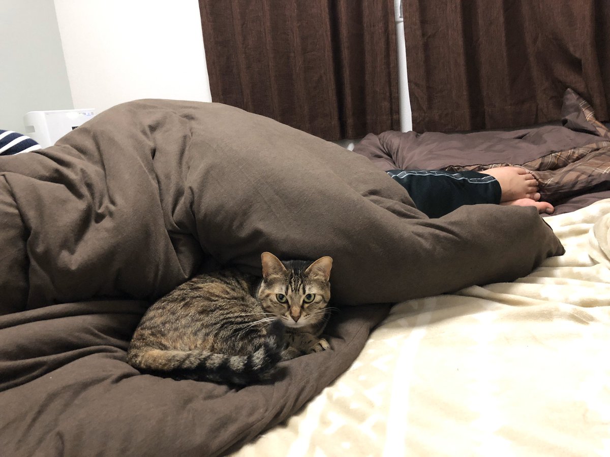 澪 汐が夫にべったり