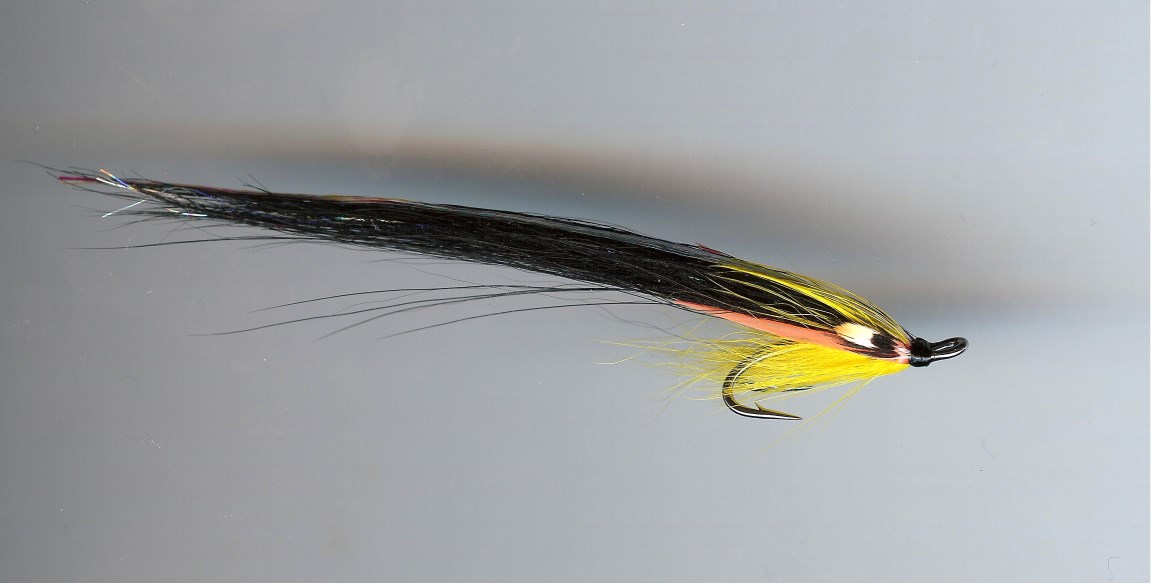 helsalmo's tweet photo. Latest Helmsdale fishing report and RS Solar Monkey strikes first on Findhorn #helmsdale #flyfishing #salmonfishing #flyfishing #rivers #salmonfly #findhornriver #springsalmon

 https://t.co/LZgxbq2fEy https://t.co/CI4sRpyXqC