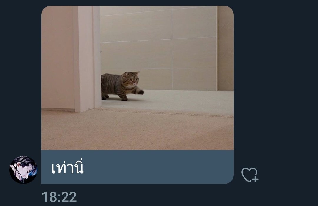 ฮอลบ๊ายบายย @close tweet media