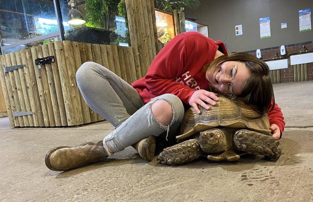Alice in Hattonland (@alicehattonland) on Twitter photo We are joined by lots of animal guests this week for February half term <a href="/HattonWorld/">Hatton Country World</a> including beautiful Toby the Tortoise We are joined by lots of animal guests this week for February half term <a href="/HattonWorld/">Hatton Country World</a> including beautiful Toby the Tortoise
