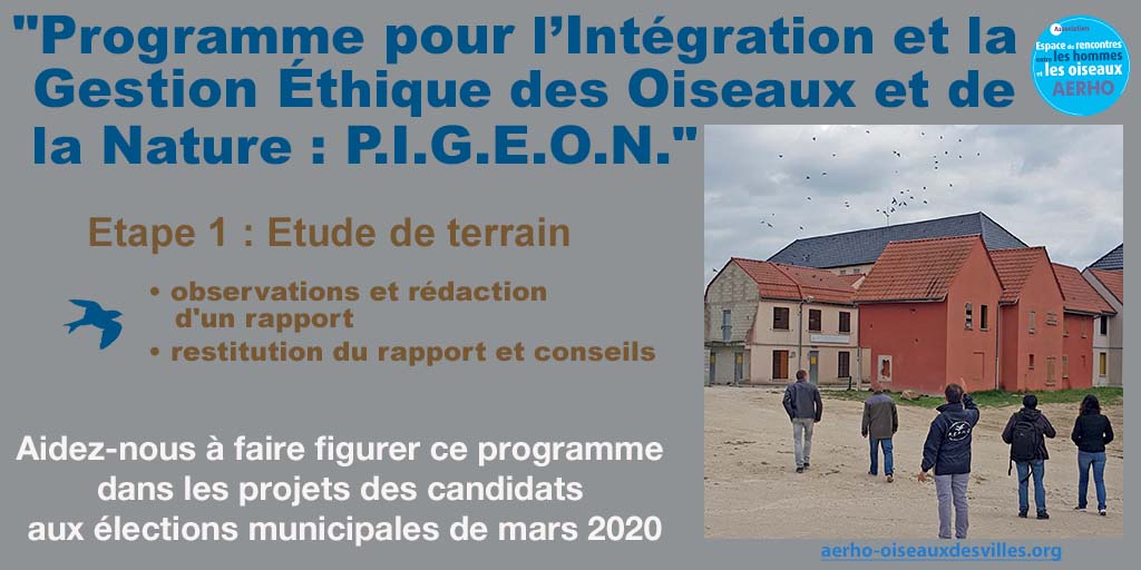 Découvrez le Programme P.I.G.E.O.N « Programme pour l’Intégration et la Gestion Ethique des Oiseaux et de la Nature » d’AERHO. Aidez-nous a le diffuser auprès des candidats aux élections municipales de 2020. aerho-oiseauxdesvilles.org <a href="/aerhooiseaux/">aerhooiseaux</a> #despigeonsdanslaville