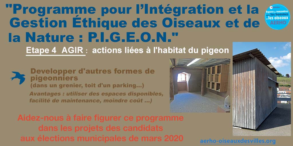 Découvrez le programme P.I.G.E.O.N « Programme pour l’Intégration et la Gestion Ethique des Oiseaux et de la Nature » d’AERHO. Aidez-nous a le diffuser auprès des candidats aux élections municipales de 2020. aerho-oiseauxdesvilles.org <a href="/aerhooiseaux/">aerhooiseaux</a> #despigeonsdanslaville