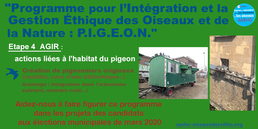 Découvrez le programme P.I.G.E.O.N « Programme pour l’Intégration et la Gestion Ethique des Oiseaux et de la Nature » d’AERHO. Aidez-nous a le diffuser auprès des candidats aux élections municipales de 2020. aerho-oiseauxdesvilles.org <a href="/aerhooiseaux/">aerhooiseaux</a> #despigeonsdanslaville