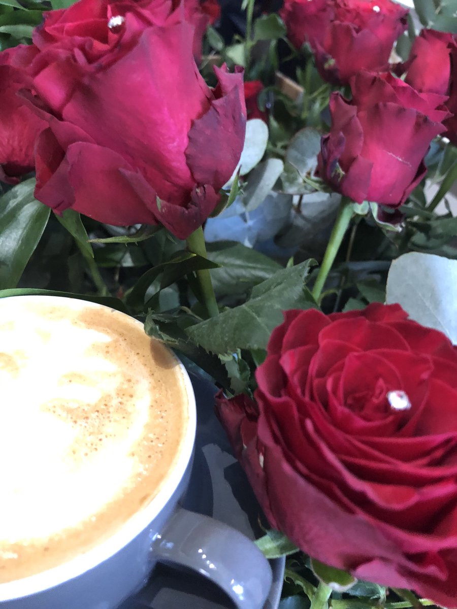 Delicious coffee surrounded by beautiful red roses #coffee #redroses #roses #chapelallerton #theperfumedgarden #leeds #lufc #vegan #oatly #open7days