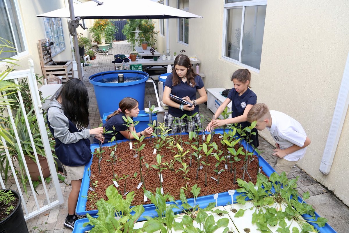 vhopekennedy's tweet image. Looking to connect w/ schools around the world to share an environmental project that can be easily replicated anywhere! Interested in more information?
tinyurl.com/MangroveMiracle @MangroveMiracle @JenWilliamsEdu @NAEducation @naeuniversity @OfficialNGSS @danfriess @mspaperless