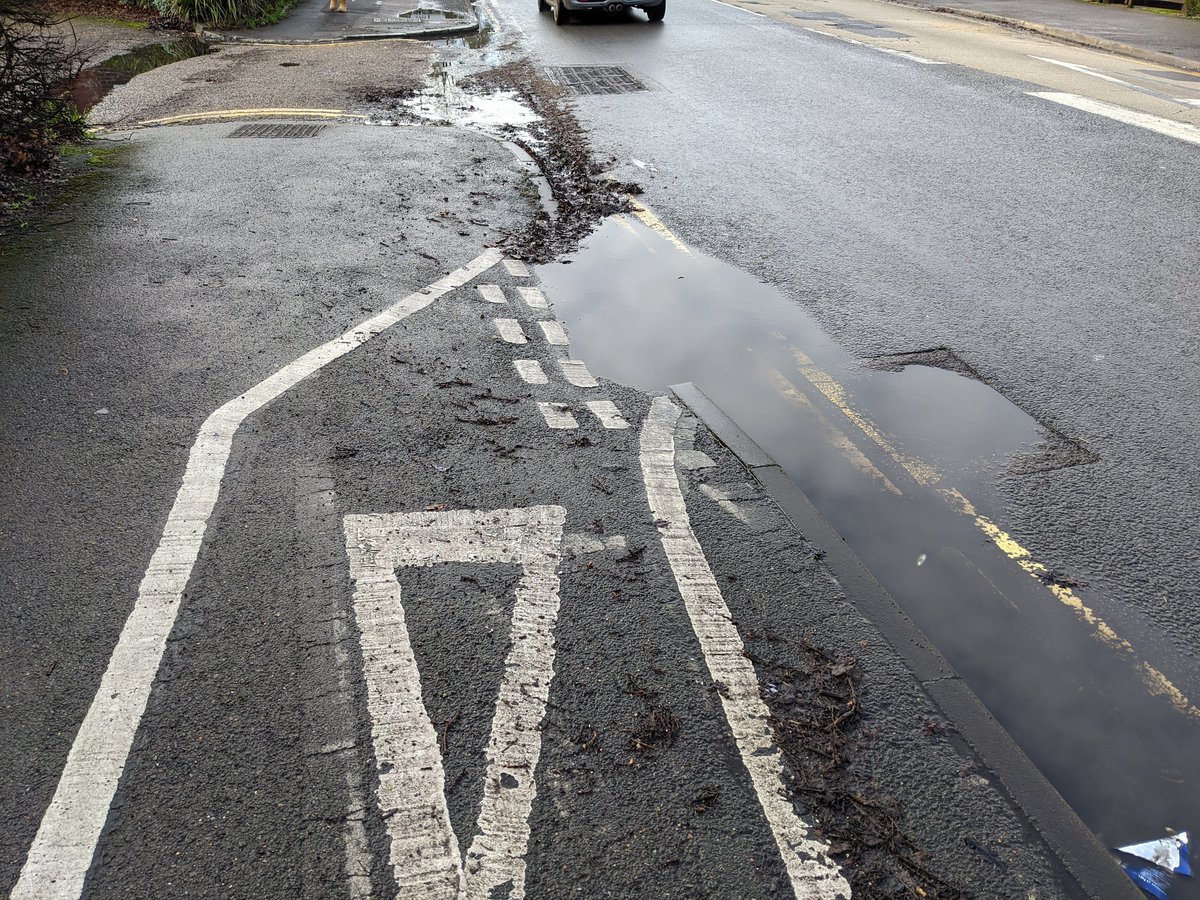 Elisabeth Anderson is at @velobetty@toot.bike tweet media
