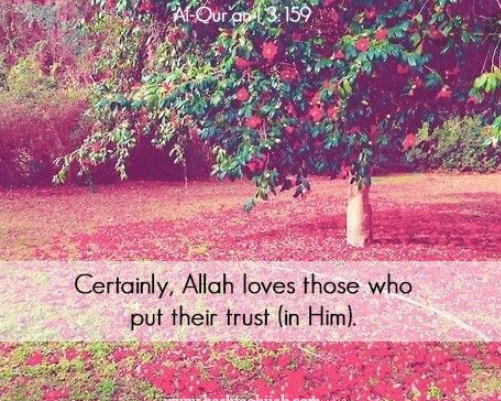 SyedaSaba12's tweet photo. @TheK_Khalid @mkkhan4057 @zaibafzal wow Masha-ALLAH😳
what a beautiful Journey towards seeking Truth 👍
I really appreciate your intellect in this endeavor
May ALLAH SWT grant us all #Hidayat & make us sectarain free humble n kind Truthful Muslim who
#LearnToBehave #AgreeToDisagree #IslamIsLogic #TimeToTurnToQuran https://t.co/YCpKV5xPQl