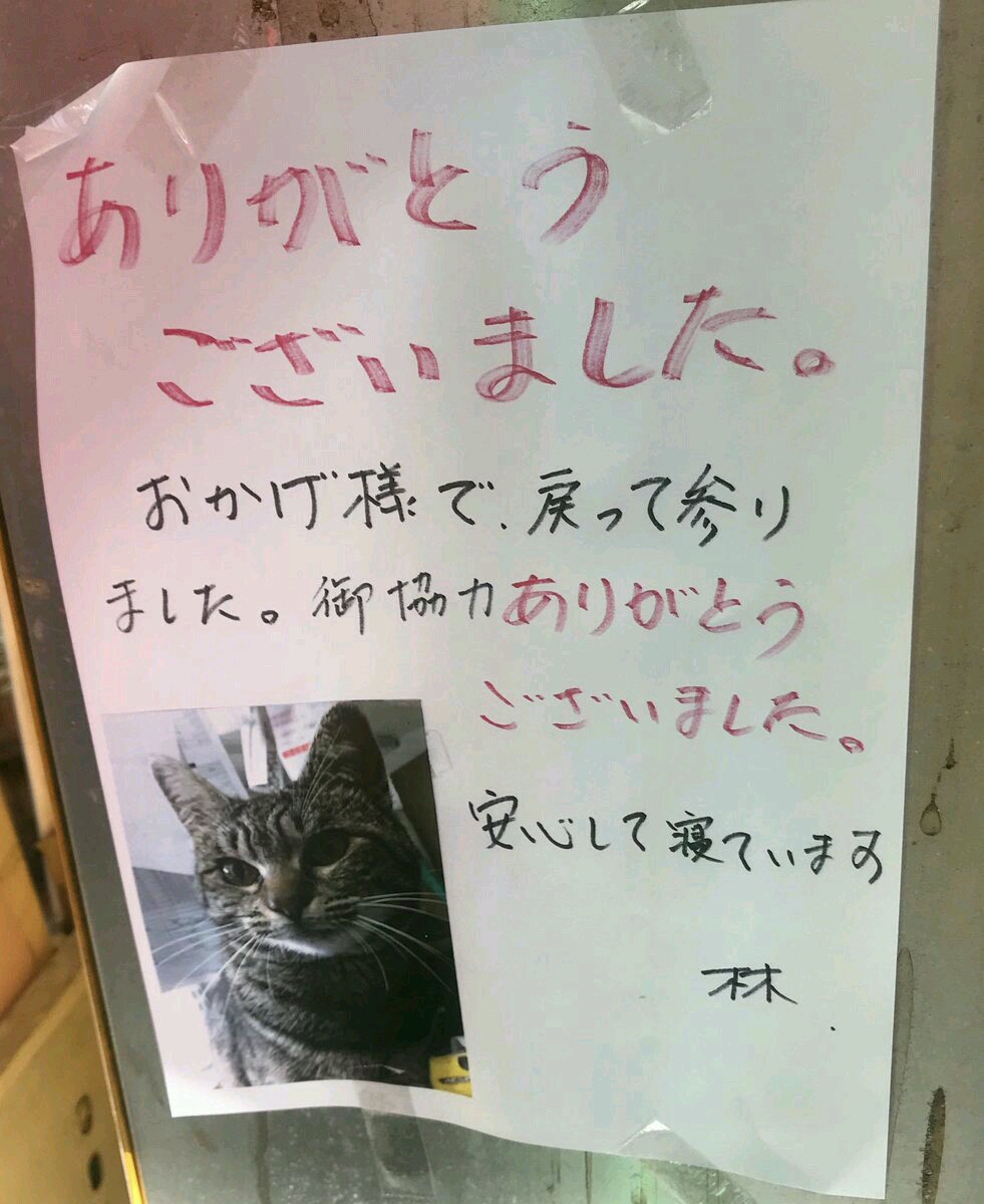 ましゅまろ マルグリット島産 Djnlr26hsyfff Twitter