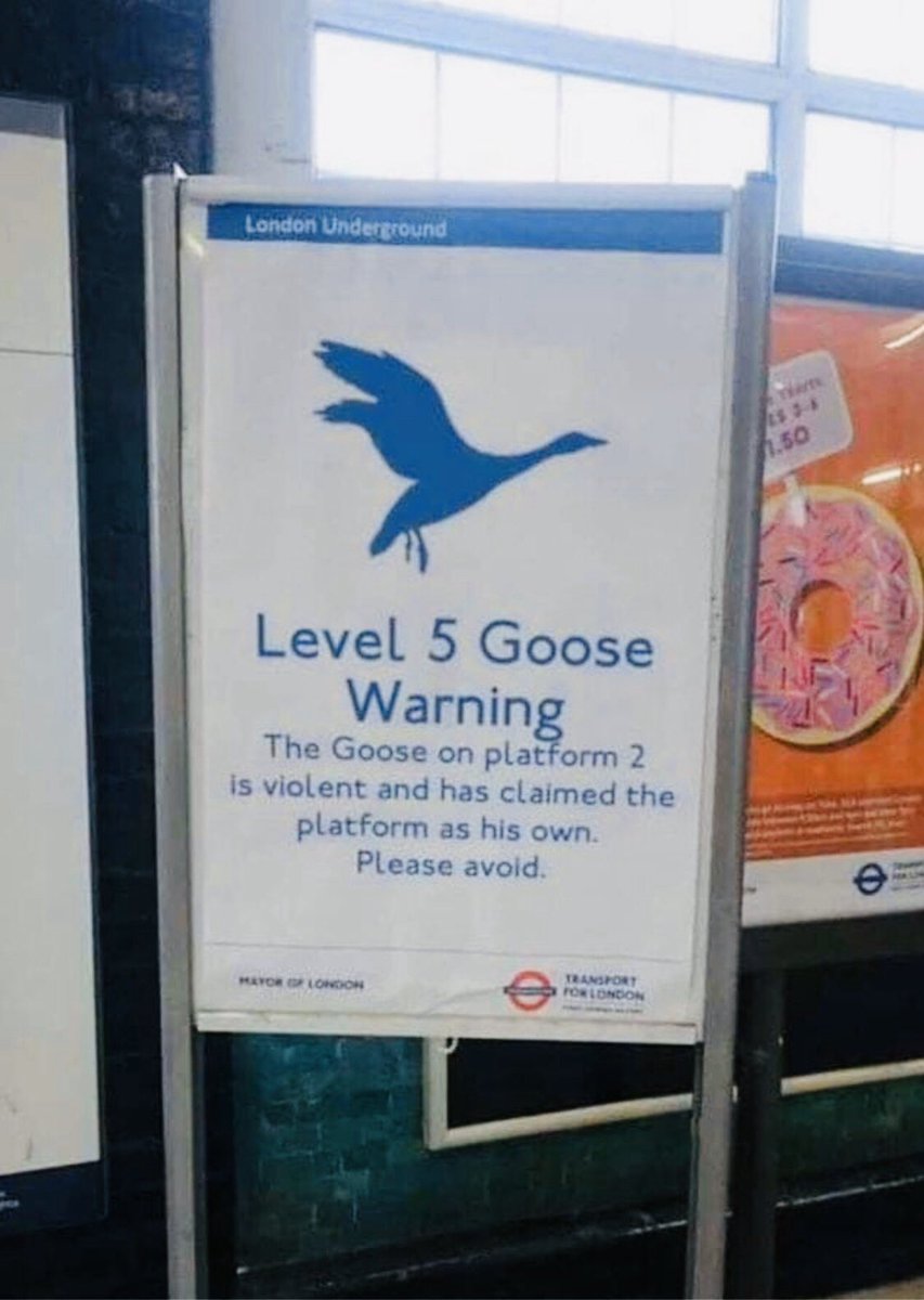 #londonlife 😂