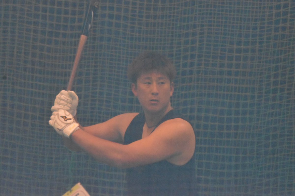 ばふぁろうず على تويتر 日向夏ドームにて 超絶網写真で残念なのですが 杉本裕太郎選手の特打の様子です 筋肉がえげつないです さすがラオウ 今年もたくさんのホームランをお願いします Orix Bs Bs春季キャンプ 杉本裕太郎 ラオウ 拳王 Npb プロ