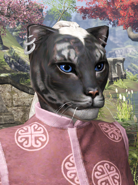 7/23Ja’Zanushi, a sweet, rather confused former slave who keeps making awkward attempts to find her place in the world and control her magic. A quiet, diligent bookworm who wants to know everything about the Khajiiti culture she never got to experience as a kitten.