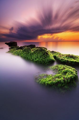 SILENCE LOVES TO HIDE THE FEELINGS WE CARRY SO LOUDLY IN OUR HEART.