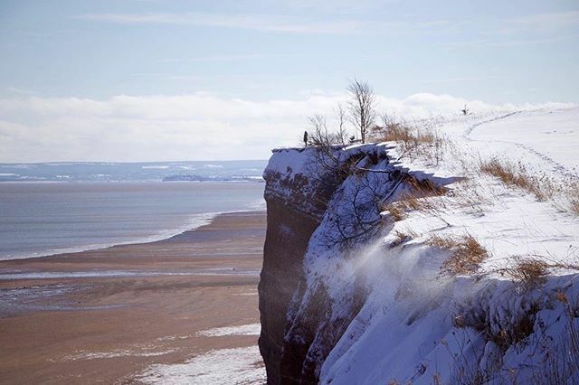 halifaxnoise's tweet photo. From @simplicity_50_ — The Edge 🤍
•
•
•
#rsa_outdoors #the_folknature #igers_novascotia #halifaxnoise #raw_canada #raw_silhouette #raw_seasons #raw_moody #dof_brilliance #explore_dof #landscapephotography #moodygrams #moody_nature #moody_tones #cana… https://t.co/c6RhM9bnf1 https://t.co/ueD7BAUFm8