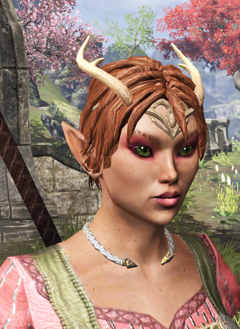 17/23Rhiawen, a playful and oftentimes overly friendly Bosmer whose family was exiled for violating the Green Pact through their cooking experiments. Still values the social, bonding aspect of food and strives to become the best provisioner ever.