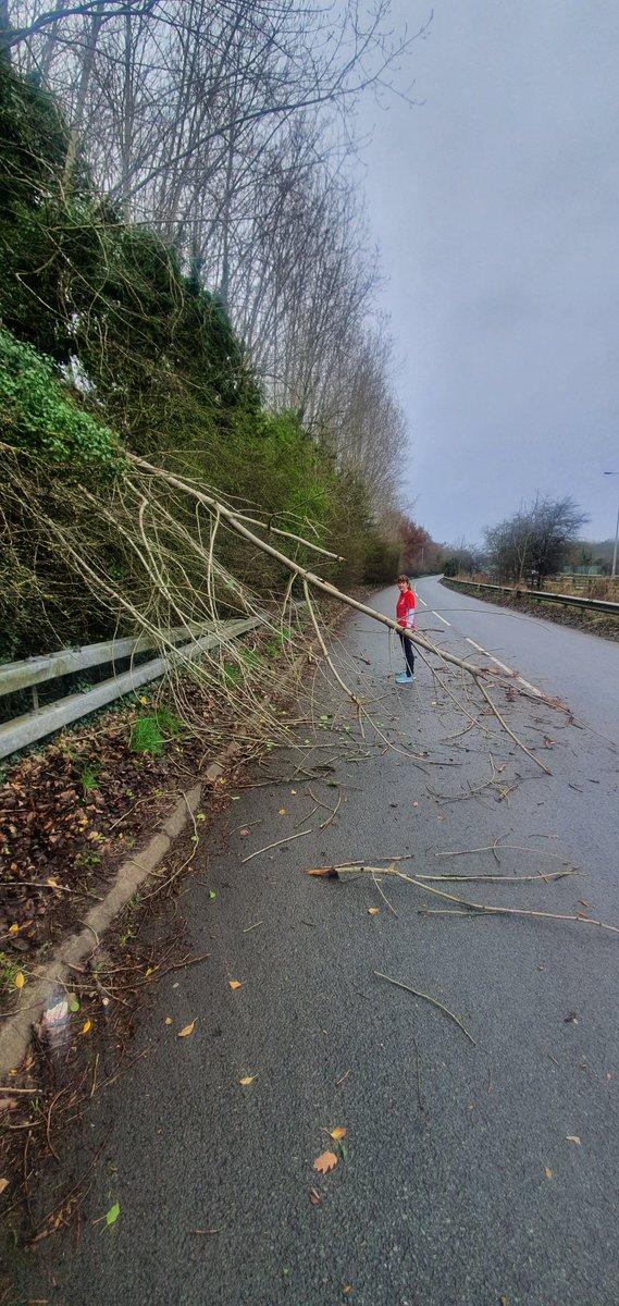 GrahamDyke's tweet photo. @cheshirepolice hello we are out running by M53 the  road by Vauxhall motors club. Tree obstruction will be dangerous tonight https://t.co/g8nftodMVb
