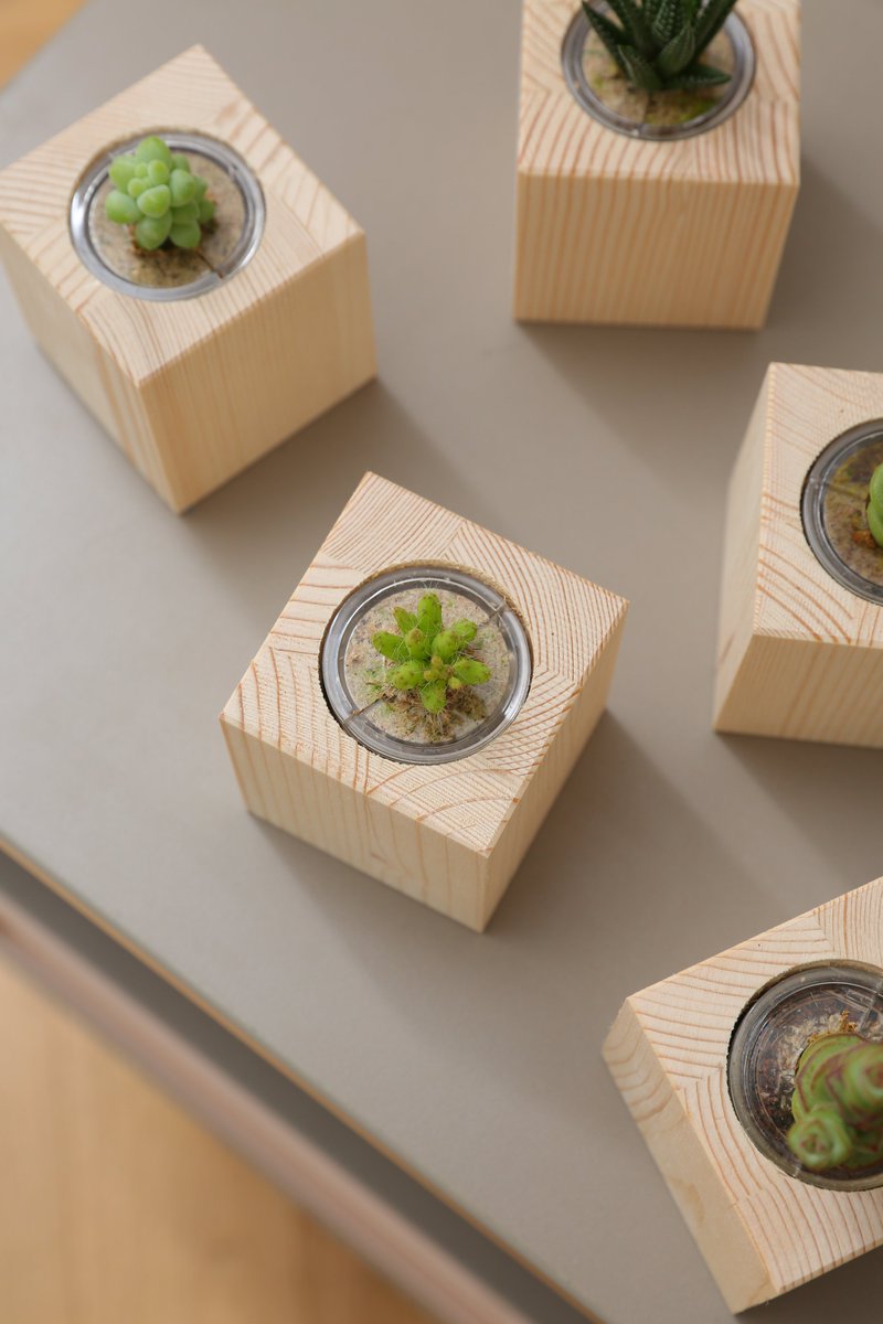 emotipot's tweet photo. #선인장 #다육이 #인테리어 #미니화분 #원목화분 #마음화분 #interior #cacti #succulents #gift #cute #wooden #tiny #plants #emotipot https://t.co/4R0CJ0wFSM