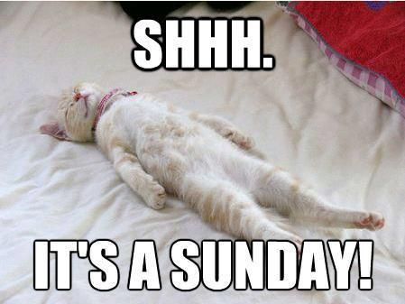 توییتر \ Ascendo Resources در توییتر: «Shhhh....It's a Sunday! Wishing everyone a restful & relaxing day. #sundaymood #reset #relax #plantheweek #setgoals #applyforjobs #prepyourresume #interviewprep #familytime #recharge #newweekahead ... توییتر \ Ascendo Resources در توییتر: «Shhhh....It's a Sunday! Wishing everyone a restful & relaxing day. #sundaymood #reset #relax #plantheweek #setgoals #applyforjobs #prepyourresume #interviewprep #familytime #recharge #newweekahead ...
