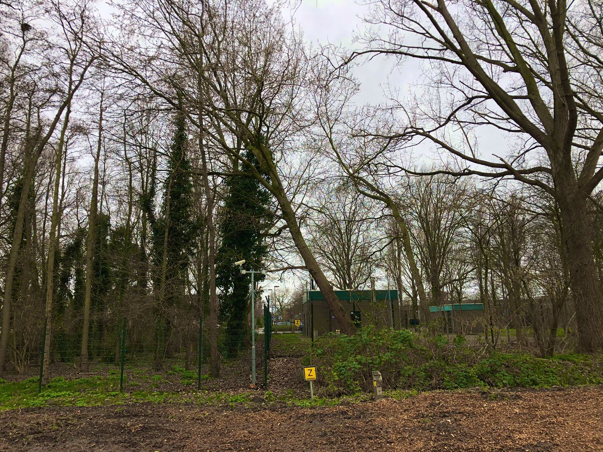 Melding brandweer Rozenlaan Maassluis