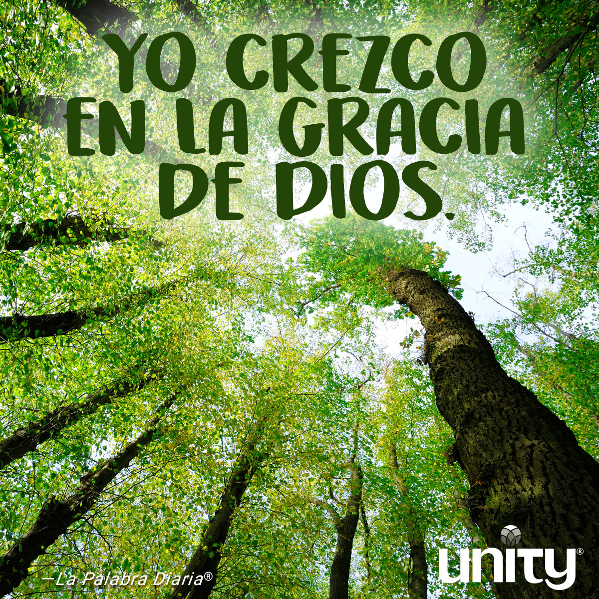 unityenlinea's tweet image. You crezco en la gracia de Dios.

unityenlinea.org/dailyword/grac…