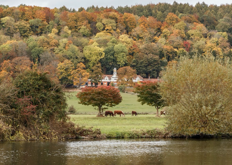 In episode 52 we speak to Miriam Rose from #HardwickEstate about reforming age-old aristocratic dynamics of #landownership 🌱 By the way, this #organic #estate is home to two well known projects: #TolhurstOrganics and <a href="/hempenorganic/">Hempen</a> 🥕 Tune in now: buff.ly/2Gp1UWv