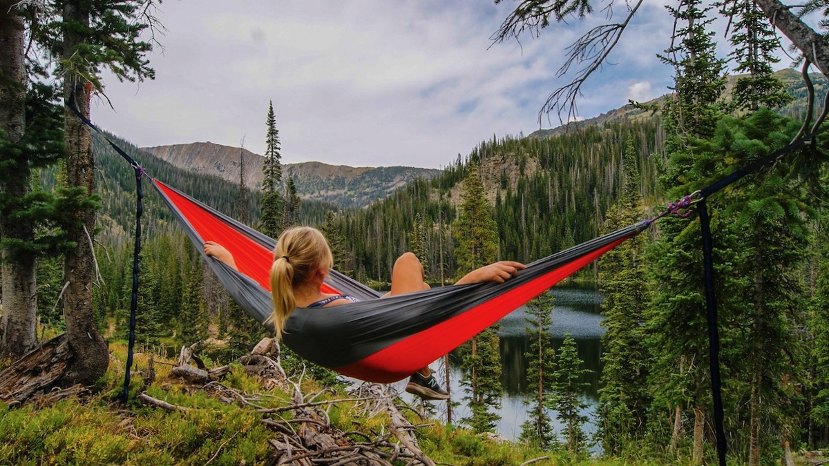 Smaller Earth tweet media