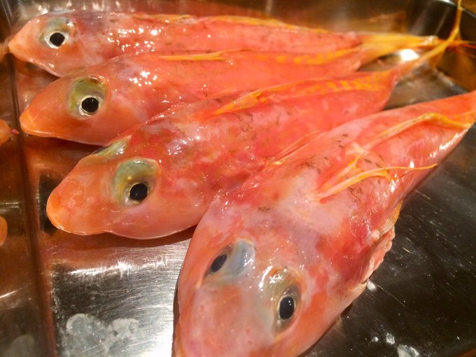 気合で読めそう 紅手繰 なんと読む 読めたらすごい魚漢字クイズ Sotokoto Online ソトコトオンライン 未来をつくるsdgsマガジン