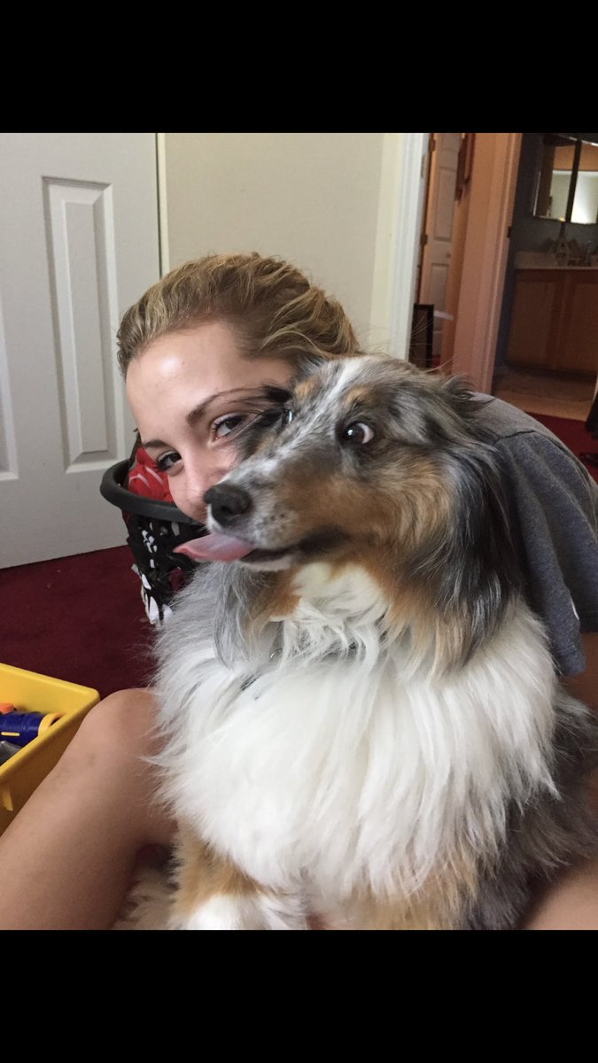 my sweet Daisy, life’s not going to be the same without you in it. You had the sweetest and most loving personality. Thank you for giving me 11 years of love and laughter. Your fight is over now baby, rest easy my sweet girl. I love you