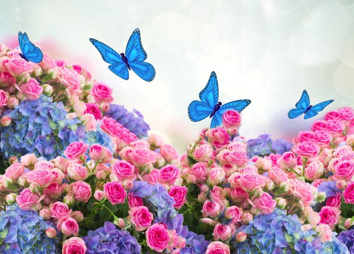 FairyKwonYuri1's tweet photo. These boys were on a survival show like everyone else they trained together, performed together, got scolded, teared up, and eventually fought till the end. #FlowerForOneIt #BloomForX1 @x1official101 https://t.co/smejBSqblD