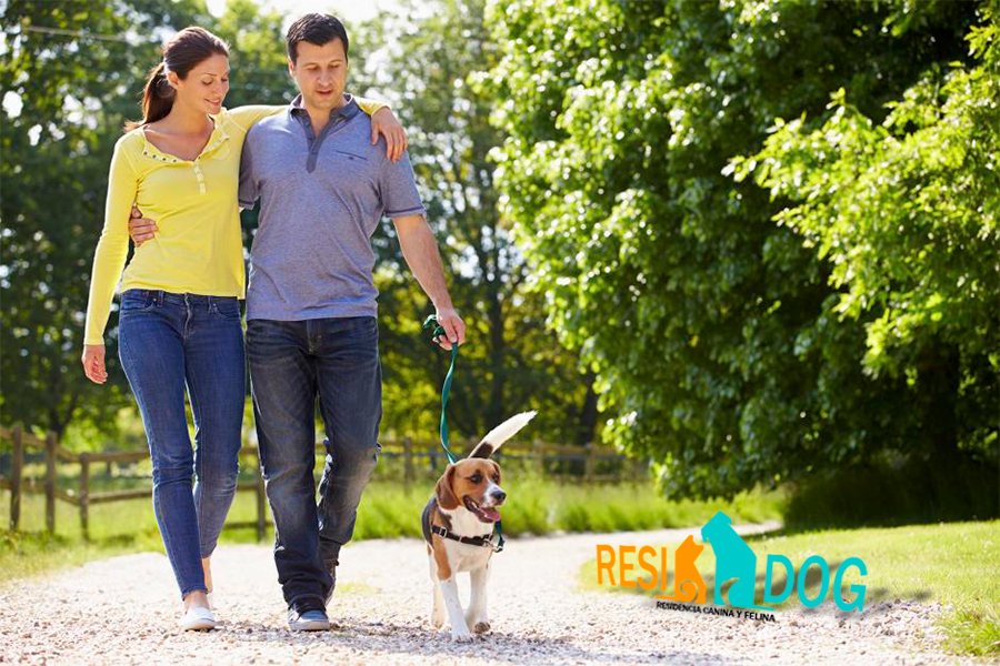 Llevar a tu #perro de paseo, debe ser un paseo que disfruten los dos. Pero para esto se requiere un entrenamiento hasta que asimile esta forma de pasear.
residogvalencia.es, disponemos pista de entrenamiento para poder educar al perro con nuestros #adiestradores, consultemos