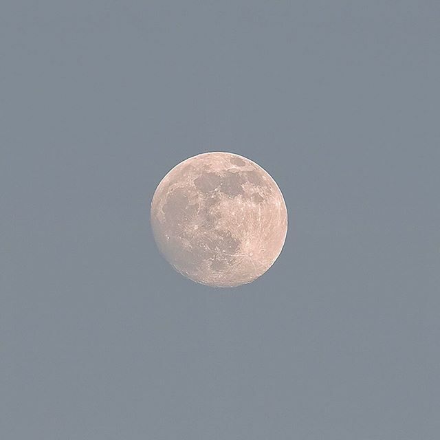 Simone Wittgen tweet media