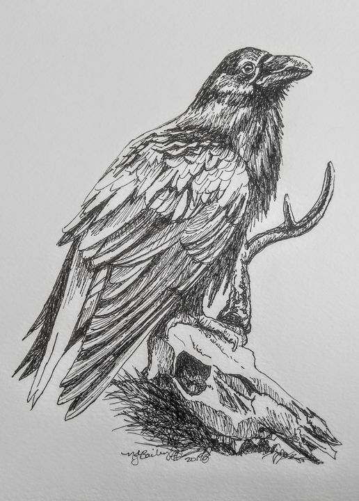 cliffysmom's tweet image. Featured Art of the Day: "Raven, pen and ink". View at: ArtPal.com/nancyjbailey?i…