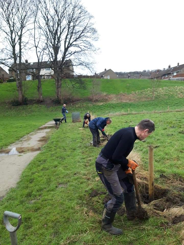 BaildonRunners's tweet photo. A good morning's hard graft preparing for the #BBW2020 tree planting in two week's time. Still time to get your Baildon Boundary Way entries in! @BaildonTree
@ForestofBrad @baildontimber @BaildonCouncil
 https://t.co/okgRKXJOGB https://t.co/k5enAiAqhP