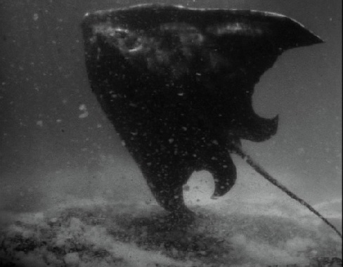 怪獣グルメな狭霧のケムちゃん 1964 44 ボスタング キール星人が送り込んできた地球侵略兵器の怪獣 見た目ただのエイで戦闘機のロケット弾で爆発して死んだけど戦艦大和の46ｃｍ砲9発分の鰭の打撃力 マッハ2の飛行力持ってるらしいから立派な侵略兵器よ