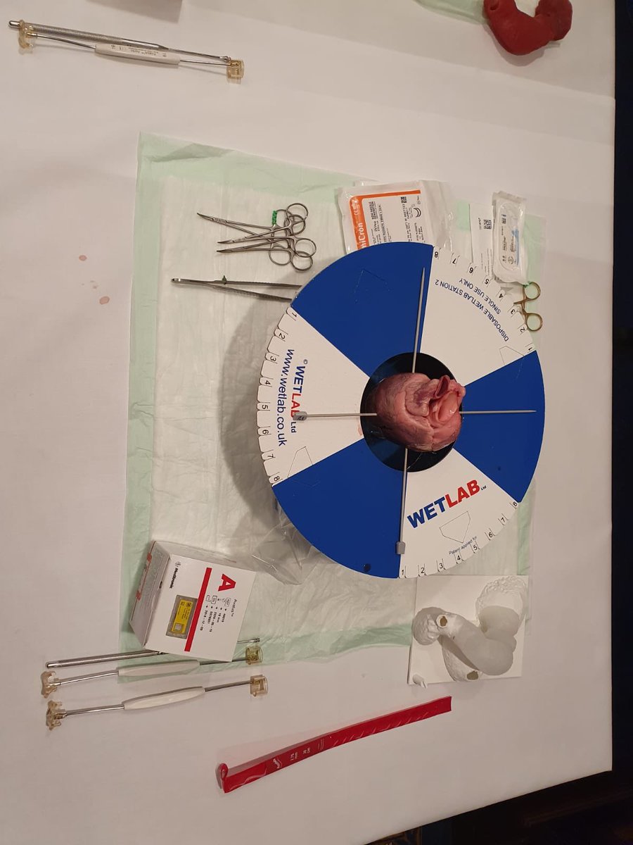KardiologieWien's tweet photo. Surgical Hands on at #C3Congress chaired by Prof Martin Andreas from the Department of Cardiac Surgery at @MedUni_Wien 

#CardioEd #Cardiotwitter https://t.co/lBLCebUCK0