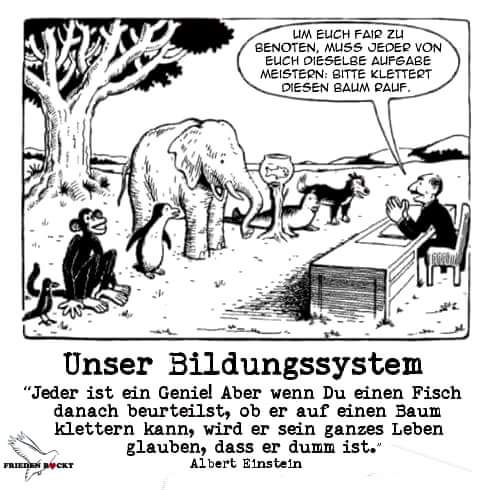 Unser Bildungssystem