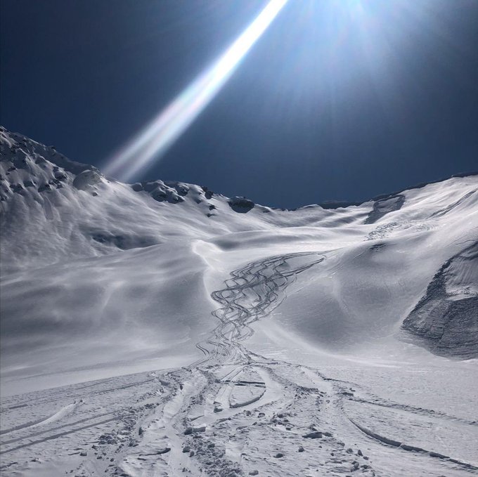 Visualizza l'immagine su Twitter