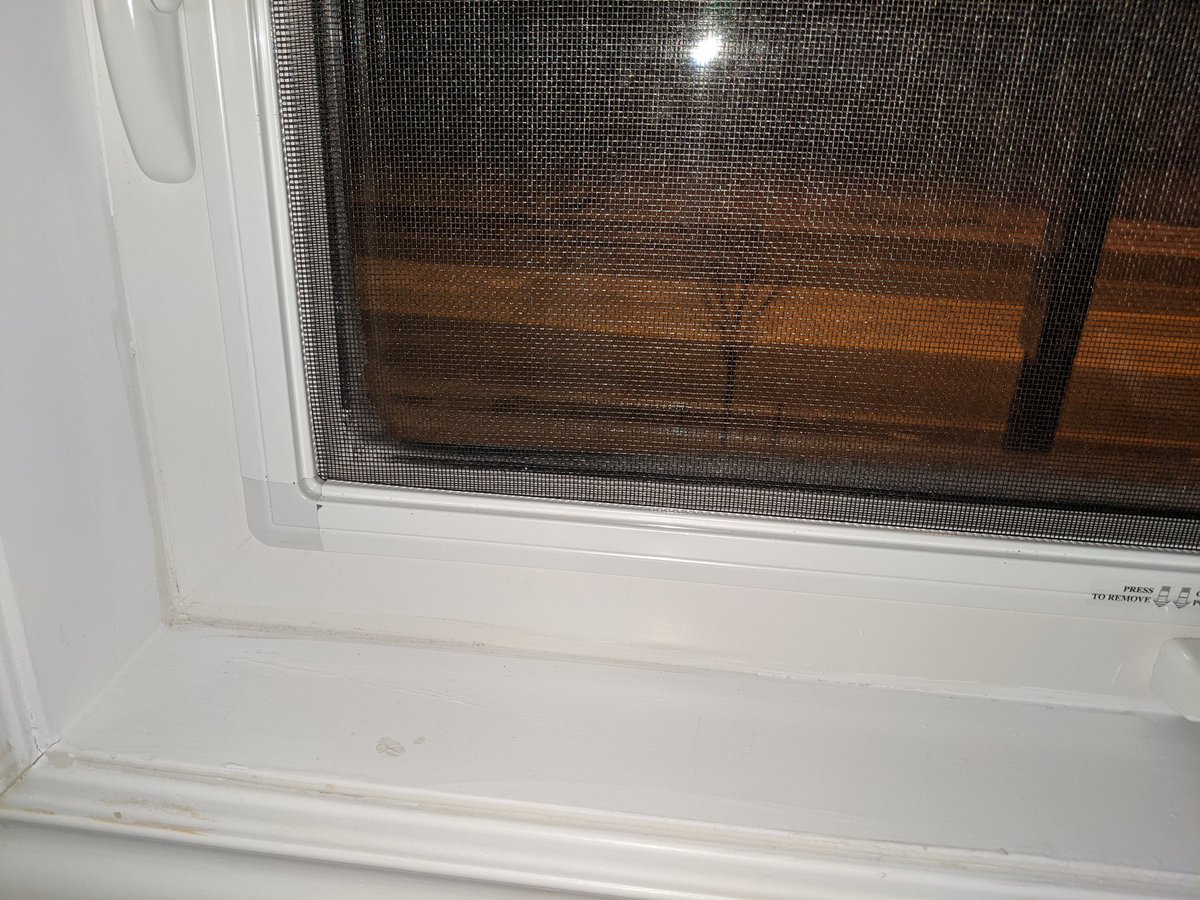 Gary_Sethi's tweet photo. @g_viec Can you see the ice? https://t.co/bguwDWwIO4