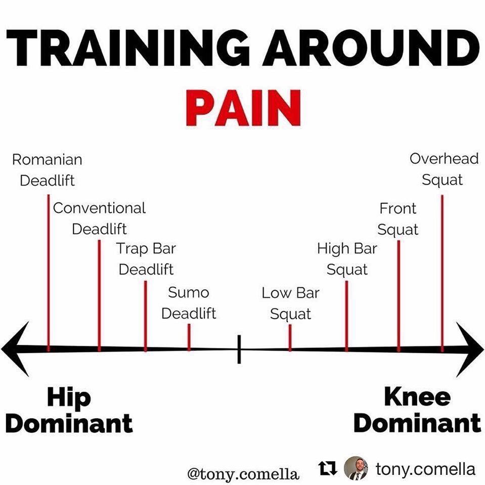 Physio Network (@physionetwork) on Twitter photo “Rehab is training in the presence of injury” - <a href="/philglasgow/">Phil Glasgow</a> 🏋🏼♀️
⠀
Have anterior knee pain and still want to squat? Try a more hip dominant option like low bar squatting. ⠀
⠀
Have hip pain and still want to deadlift? Try a more knee dominant option like sumo deadlifting. “Rehab is training in the presence of injury” - <a href="/philglasgow/">Phil Glasgow</a> 🏋🏼♀️
⠀
Have anterior knee pain and still want to squat? Try a more hip dominant option like low bar squatting. ⠀
⠀
Have hip pain and still want to deadlift? Try a more knee dominant option like sumo deadlifting.