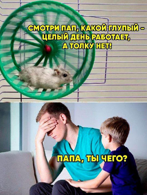 so_mad_so_funny's tweet image. 