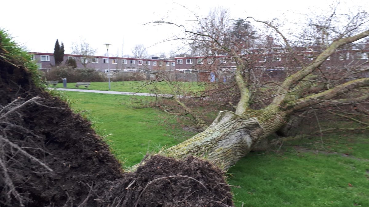 Het valt nog mee met #storm #Dennis maar de mannen van <a href="/UWbomen/">Boomverzorging 010</a> zijn al heel de dag in de weer <a href="/Stadsbeheer010/">Stadsbeheer010</a>