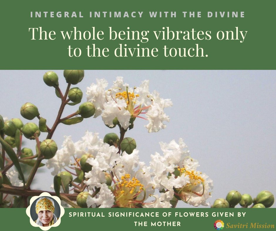 Integral Intimacy with the Divine
The whole being vibrates only to the divine touch. 

#Intimacywiththedivine #IntimacywithDivine #themother #mirraalfassa #mirraalfassathemother #mirraalfasathemother #spiritualsignificanceofflowers #spiritualsignificance #flowerquotes #flowers