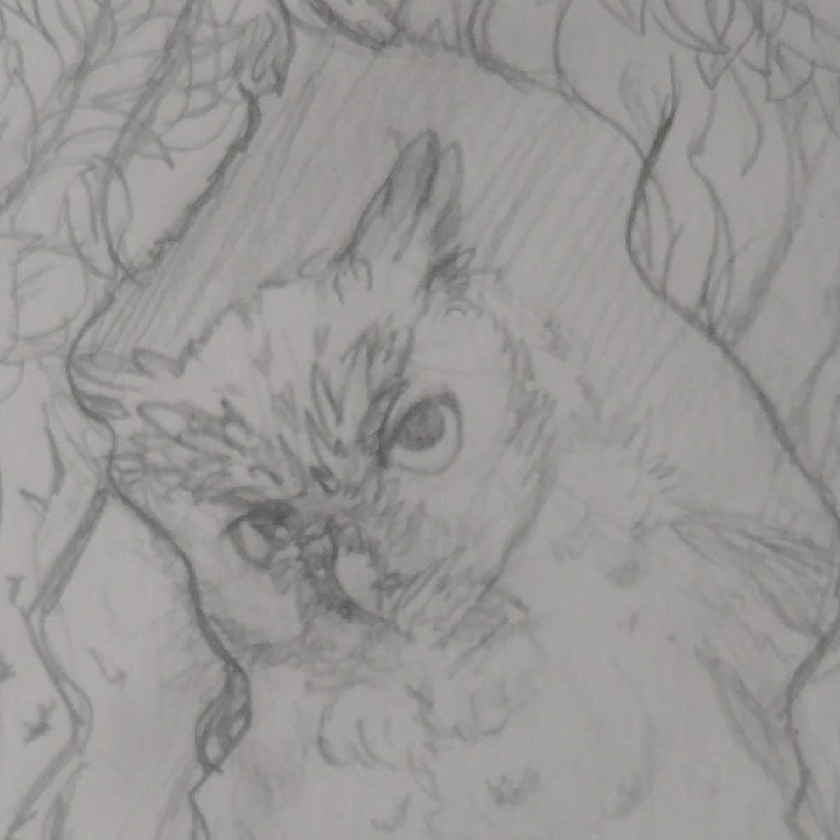 0ttermatic_'s tweet photo. just a sneak peek of a WIP ;) ๐ฆ you can view the full sketch for $2 on my patreonโถ https://t.co/Og7oxNtgjq
#art #traditionalart #animal #animals #owl #owls #easternscreechowl #easternscreechowls #redowl #redowls #wip #wips #0ttermaticart #0ttermaticscrapz #artistsontwitter https://t.co/Bj7mEcnrQT