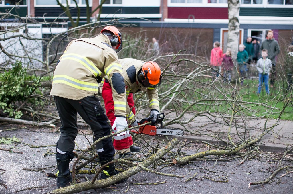 Slechts enkele incidenten in Ede als gevolg van storm Dennis [EDE] Het liep in Ede tot het moment van schrijven nog niet storm met meldingen die betrekking hadden op storm Dennis.