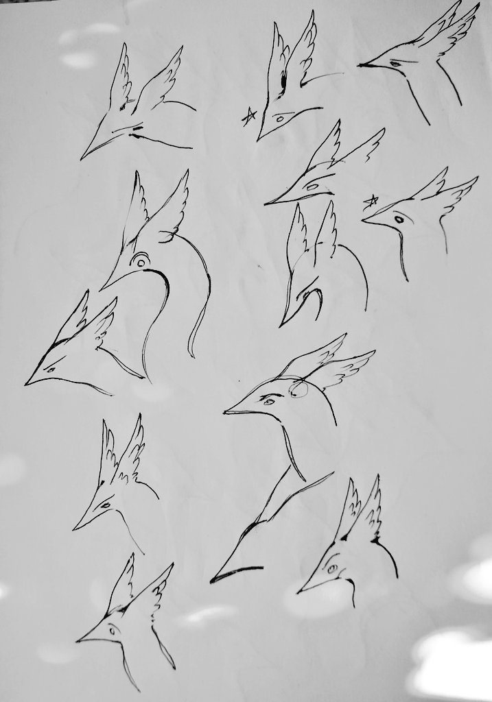 Trying to find the perfect nose slope for this skycat 