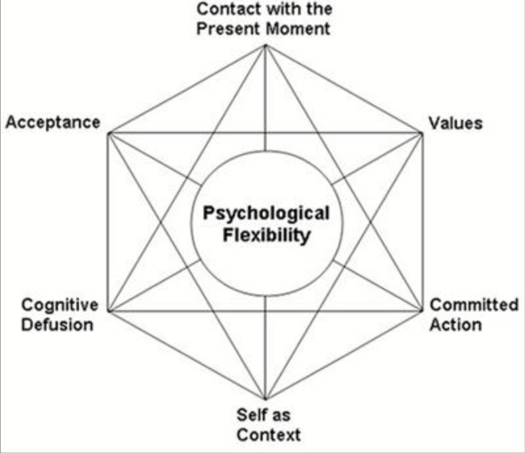 The ACT hexaflex neatly links the factors required for psychological flexibility. There is a a reason I keep coming back to this both personally and professionally - because it has compassion and action woven through the heart of it #acceptanceandcommitmenttherapy