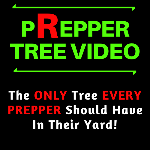 Do you have one? Look: bit.ly/eatthistree