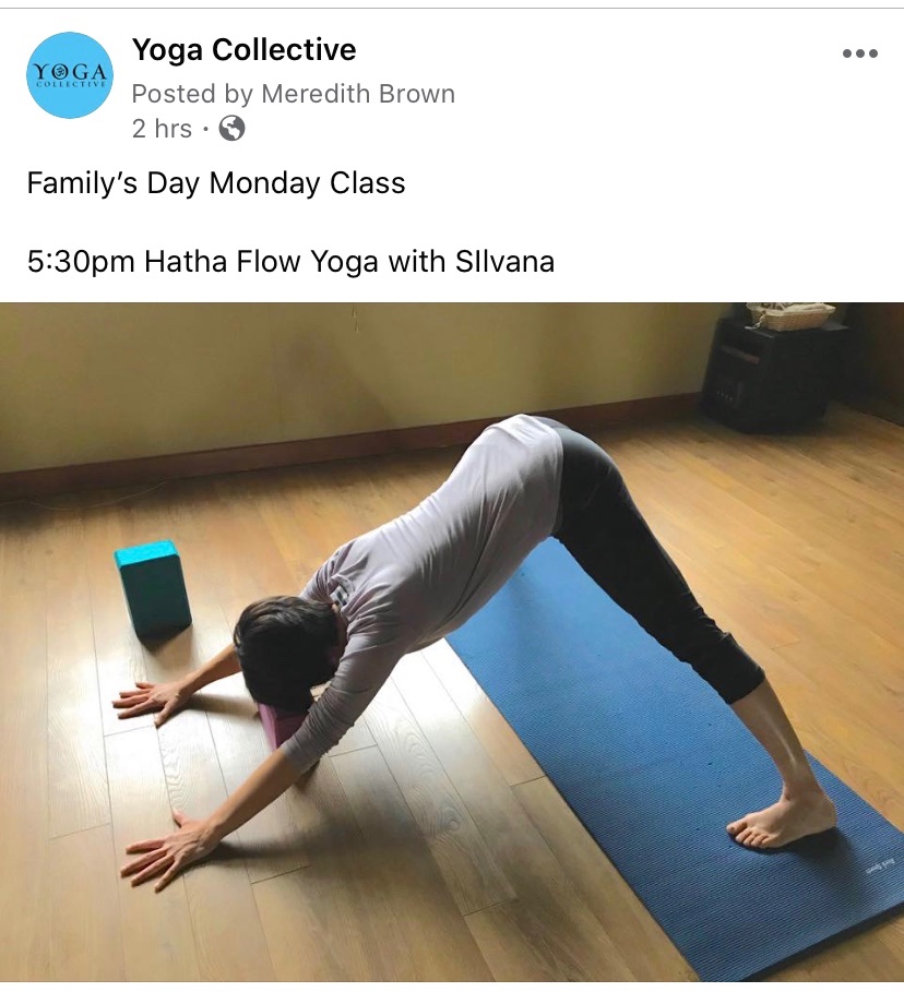 YogaCollectiveS's tweet photo. Family Day Monday https://t.co/fJDrLjgsvs