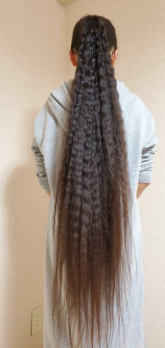 スーパーロングヘアのtwitterイラスト検索結果