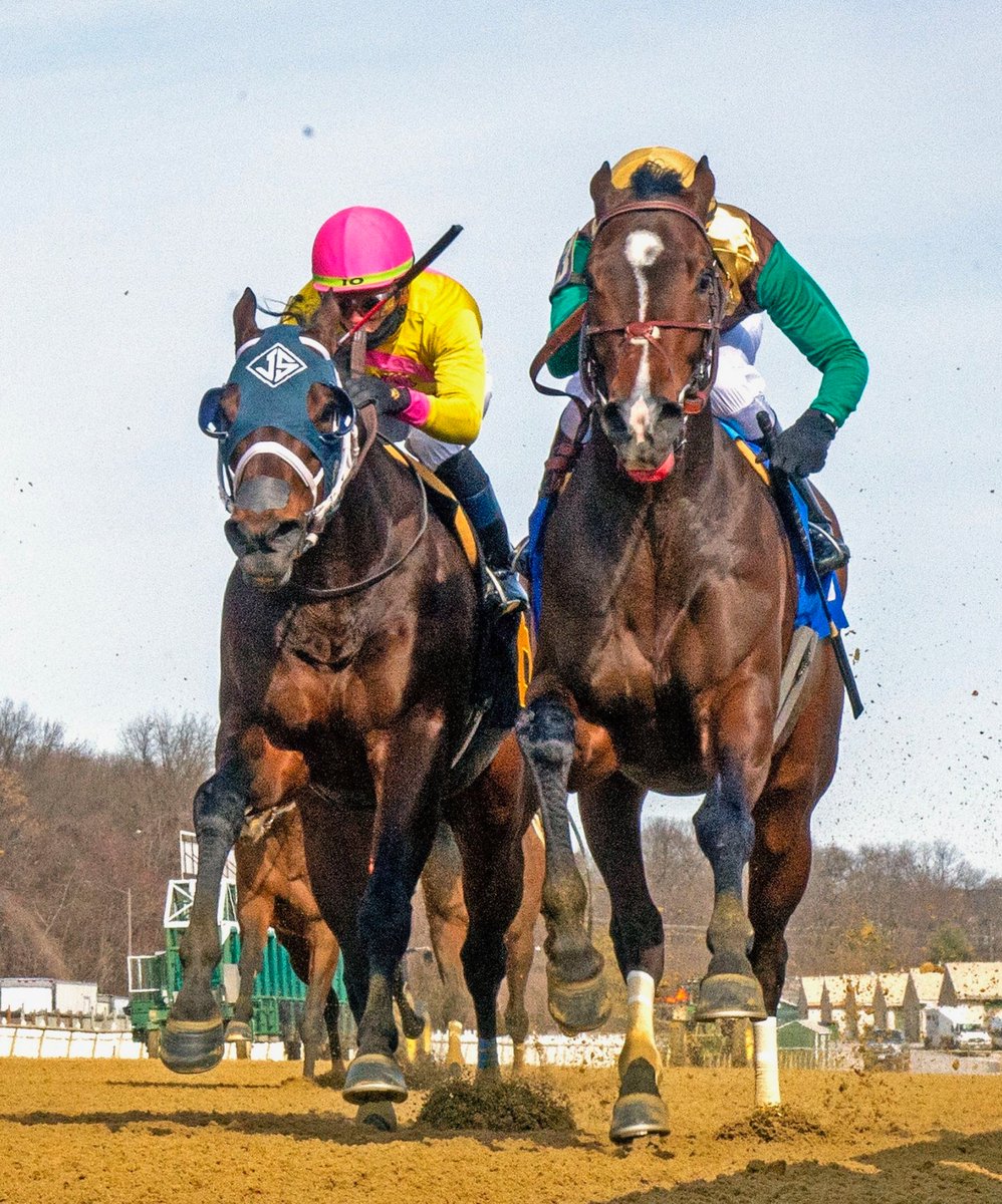 KellyRubley's tweet photo. Runnymoore's Alwaysmining won the John B. Campbell at @laurelpark yesterday! Watch the replay here - https://t.co/B8uUjgDXeJ and read more about it here - https://t.co/eK8bQPRfeh.
#runnymooreracing #preaknessstakes #julianpimentel #kmrracing #wintercarnvial #laurelpark #maryland https://t.co/InI3CX0qve